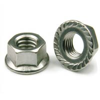 Stainless Steel Flange Nuts Manufacturers In India